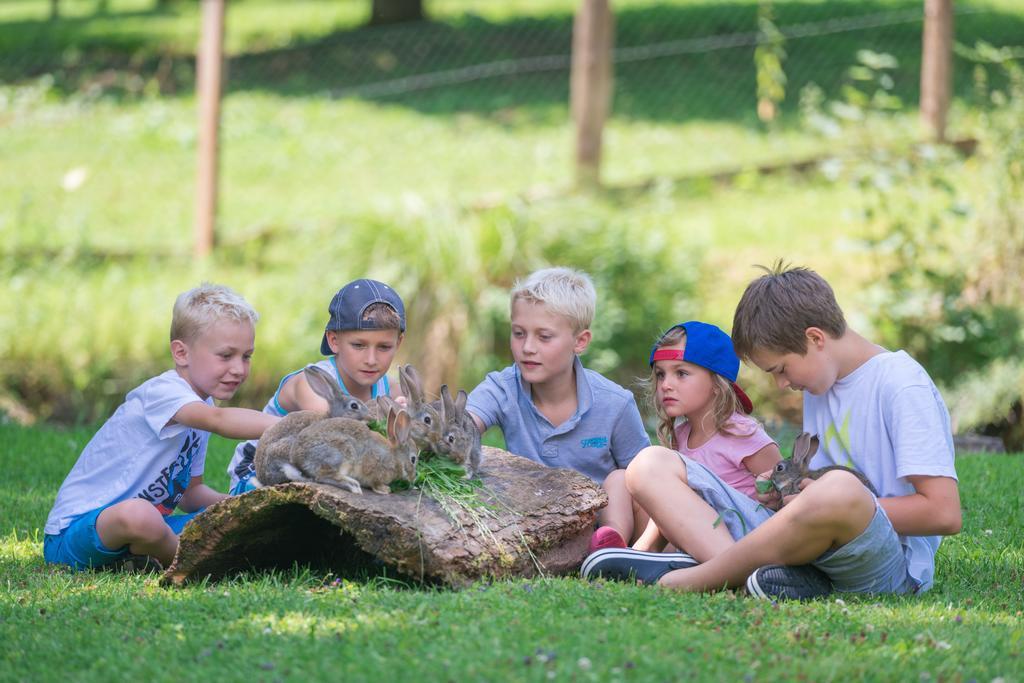 Appartamento Bauernhof Auhof Wagrain Esterno foto