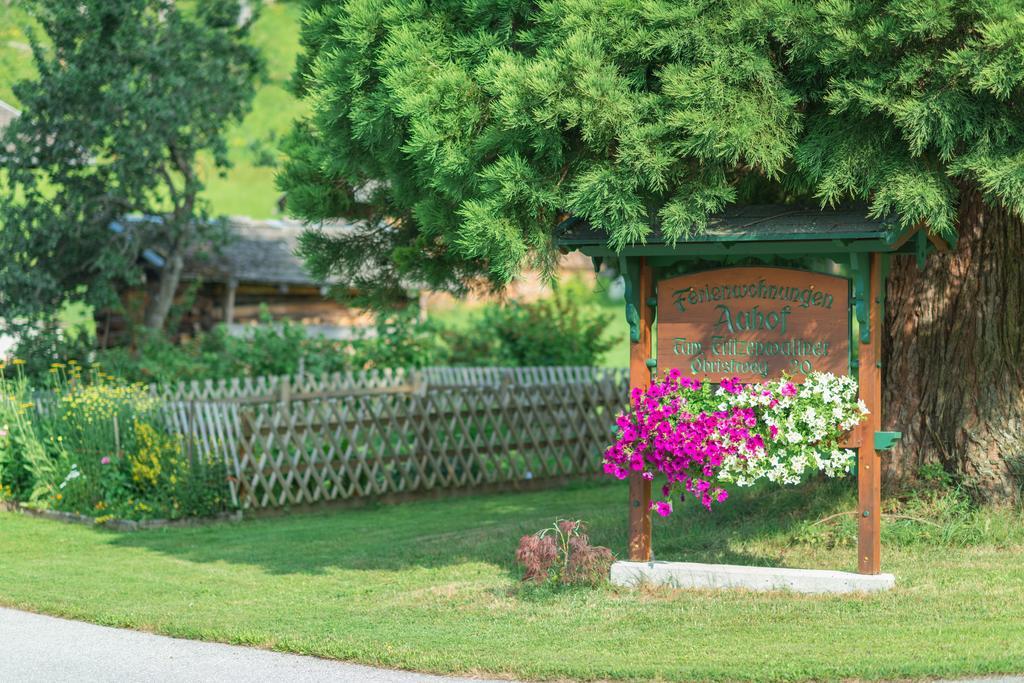 Appartamento Bauernhof Auhof Wagrain Esterno foto