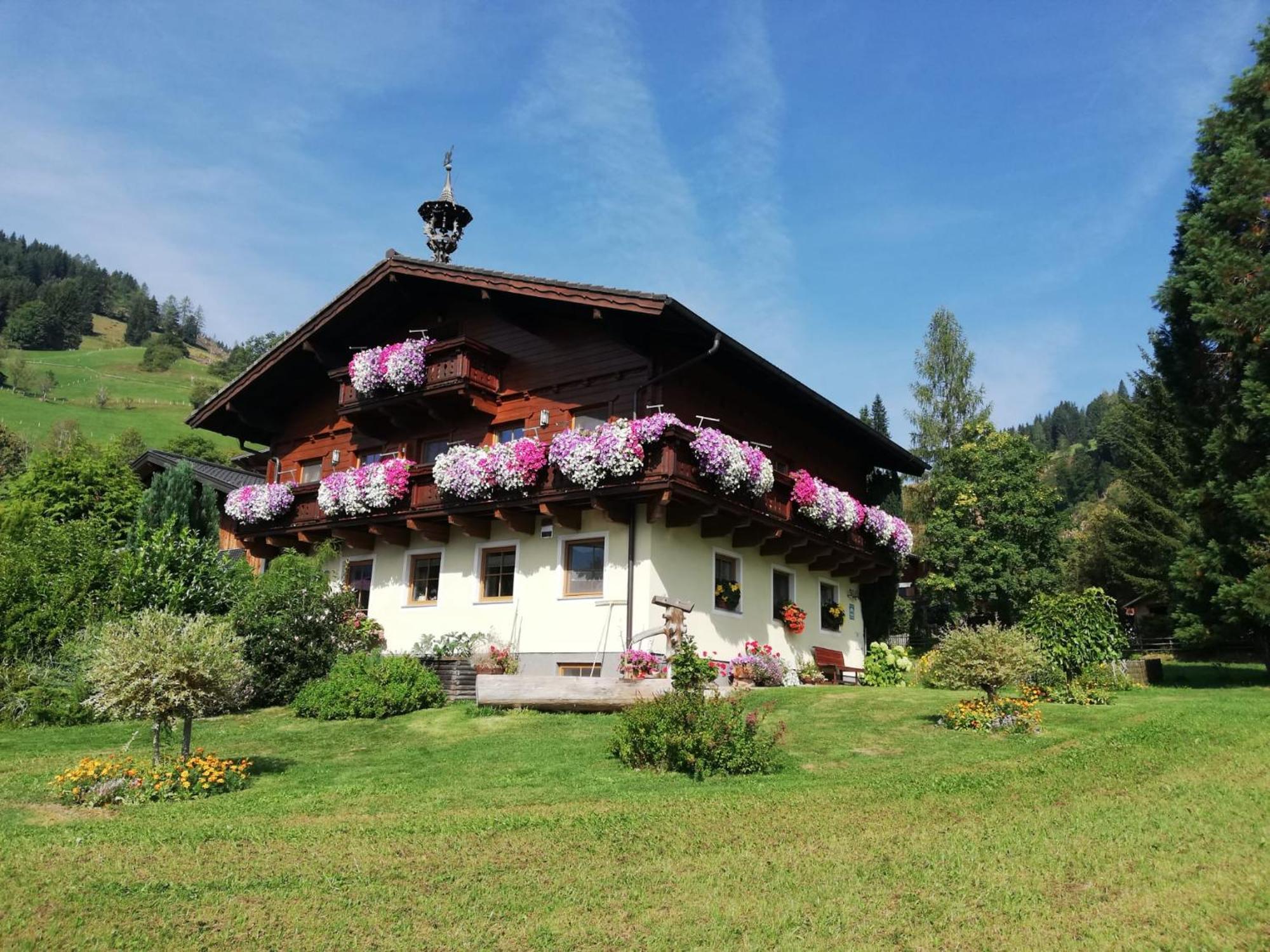Appartamento Bauernhof Auhof Wagrain Esterno foto