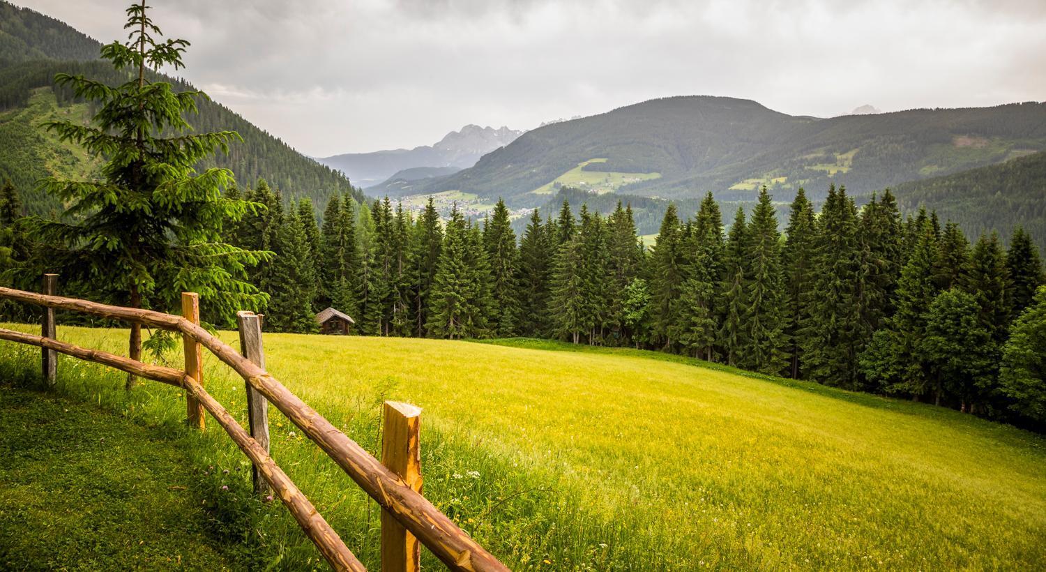 Appartamento Bauernhof Auhof Wagrain Esterno foto