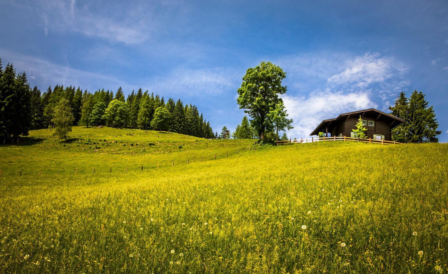 Appartamento Bauernhof Auhof Wagrain Esterno foto